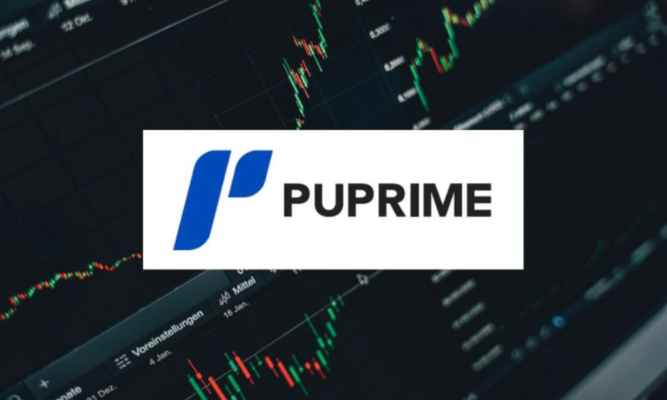 đánh giá sàn pu prime